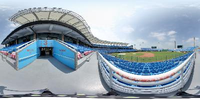 桃園國際棒球場